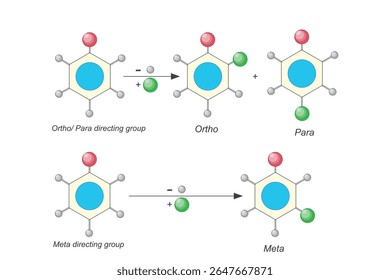 Orto, meta e para dirigir grupos em benzeno.Isomerismo posicional. Substituição eletrofílica . Ilustração de Química.