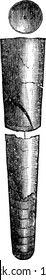 Orthoceras (straight horn) is a genus of extinct cephalopod. Shown here is its upper part showing perforated chamber, vintage line drawing or engraving illustration.