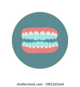 Orthodentry icon. Zähne mit Haltegriffen nach Spangen. Eier einzeln. Flache Vektorgrafik. Eier einzeln. Zahnmedizin und Orthodontie Behandlung. Flache Vektorgrafik.  Gesunde orale Hygiene, Kiefer 