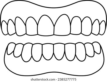 An orthodontic dental model icon, showcasing a complete and perfectly aligned set of teeth from the front. Ideal for dental and orthodontic themes.