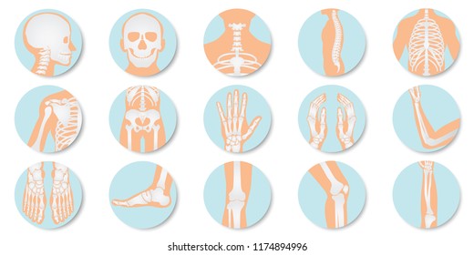 32,696 Body Part Pain Images, Stock Photos & Vectors | Shutterstock