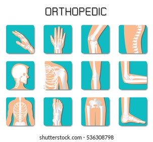 Orthopedic and spine icon set on white background, bone x-ray image of human joints, anatomy skeleton flat design vector illustration.