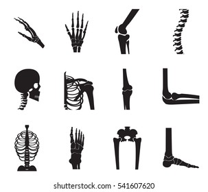 Orthopedic and spine icon set on white background, bone x-ray image of human joints, anatomy skeleton flat design vector illustration.