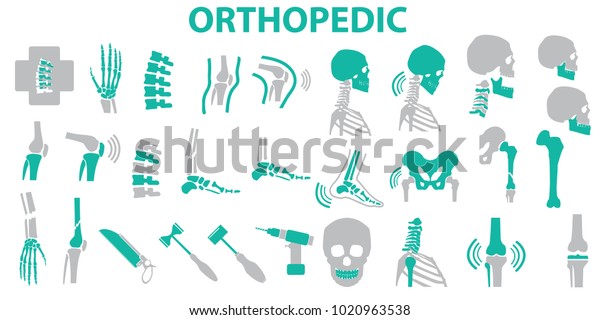 Orthopedic Spine Symbol Set Vector Illustration Stock Vector (Royalty ...