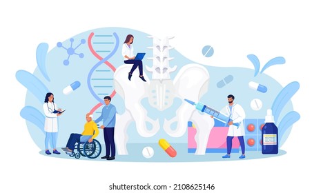 Orthopedic traumatology and trauma surgery. Vertebrologist examine human vertebra. Doctor team engaged in lower spine, hip joint skeleton, pelvic injury inspection. Spine backbone disease diagnostics