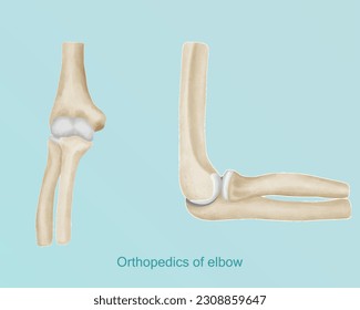 Ortopedia de anatomía codo en color acuático.