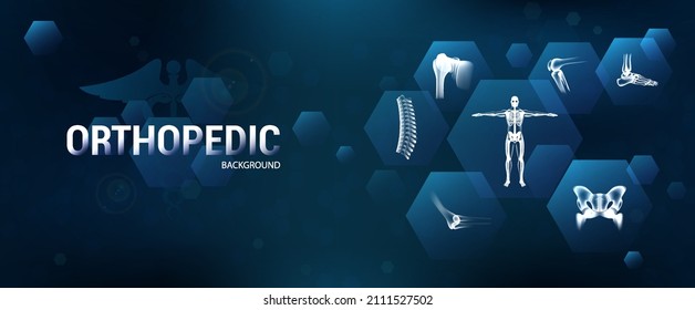 Orthopedics healthcare and medical clinic with specification of bones and joints. Futuristic medical banner with human body bones and joints - Shoulder, pelvis, lower leg, ankle, elbow. Orthopedic