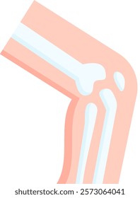 Orthopedics Icon Flat Vector Illustration