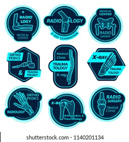 Orthopedics and traumatology icons of X-ray bones and joins for health center or radiology orthopedic clinic. Vector symbols of body joints and spine bones for corrective therapy and diagnostics