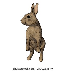 Oryctolagus cuniculus , Kaninchenvektor Illustrationsdesign einzeln 