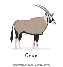 Oryx beisa vector illustration, cartoon clipart character, animal in flat style. Wild animals, wild creatures, wildlife concept. East African oryx vector design isolated on white background