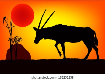 oryx in the wild African sunset. vector.