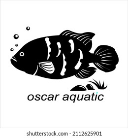 oscar aquatic fish illustration vector