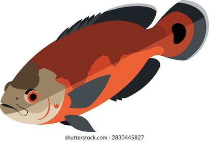 Oscar Cichlid Fish Vector Illustration with Orange and Black Markings