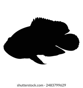 Oscar fish silhouette vector design. black and white.