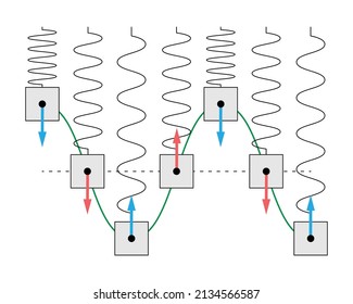 Oscillating Spring Mass System With Vertical Motion. Sinusoidal Simple Harmonic Motion With Blue Force And Red Velocity Vectors Shown. Gray Mass, Green Sine Wave On A White Background.