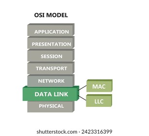 OSI network model with data link sub layers, vector