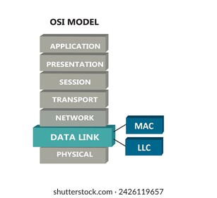 OSI network model with data link sub layers, vector