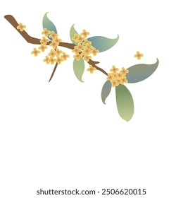 Osmanthus branches illustration decorated mid-autumn festival