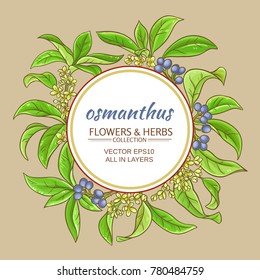 osmanthus branches vector frame on color background