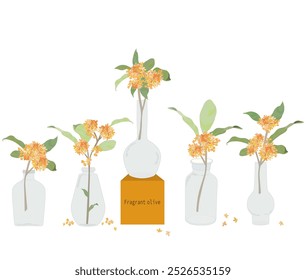 Osmanthus twigs in a glass vase