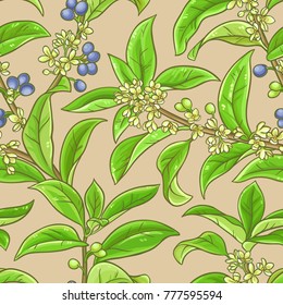 osmanthus vector pattern