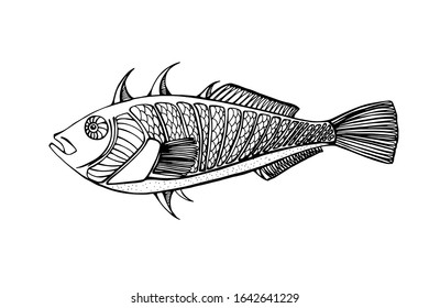Osmeridae, smelt with fine details. in black and white. isolated illustration, side view, fishing. Fish restaurant, logo. Wild life. Hand drawing coloring book for children and adults. one of a series