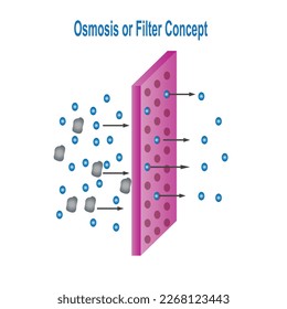 Osmose ou concept de filtre sur fond blanc. Les petites particules traversent les pores. Concept de chimie.