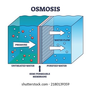 Osmosis process explanation for untreated water purification outline diagram. Labeled educational scheme with liquid flow through semi permeable membrane to separate particles vector illustration.