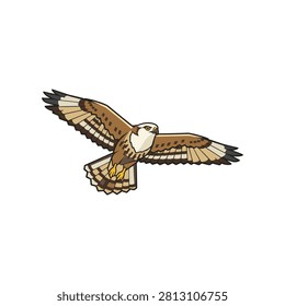 Osprey bird of prey in flight vector illustration with predator wildlife illustration majestic powerful creature