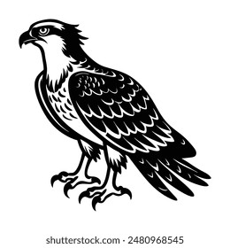 Osprey Bird Silhouette Art Design Illustration