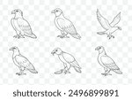 Osprey Line Art Vector Collection Elegant and Detailed Illustrations of Ospreys for Artistic and Design Projects