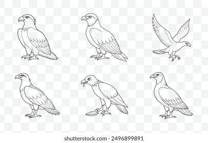 Osprey Line Art Vector Collection Elegant and Detailed Illustrations of Ospreys for Artistic and Design Projects