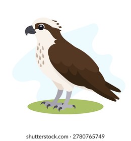Osprey in minimal flat vector style, osprey isolated with bold natural shapes for trendy raptor wildlife illustration art