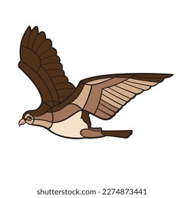 Osprey. Vector illustration isolated on white background.