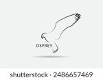 Osprey vector logo design. Flying Osprey logo, with white background.
