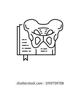 Osteology color line icon. Pictogram for web page, mobile app