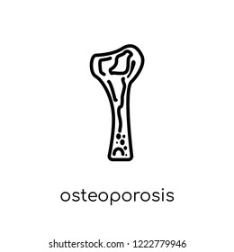 Osteoporosis icon. Trendy modern flat linear vector Osteoporosis icon on white background from thin line Diseases collection, editable outline stroke vector illustration