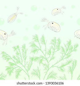 Ostracods and green algae pattern