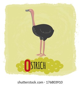 ostrich