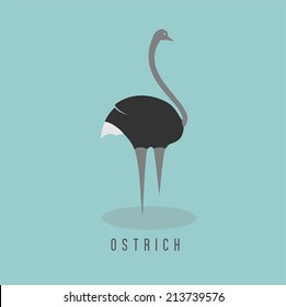Ostrich