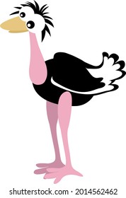 ostrich in 2d cartoon style. flat isolated vector
