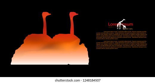 ostrich, African Wildlife Background. Nature Background. African savanna landscape. safari card. vector illustration. 