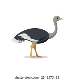 
Ostrich animal isolated flat vector illustration on white background