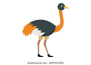 Ostrich animal vector illustration silhouette 