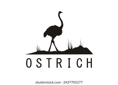 Ostrich in a barren, dry desert, on a white background.