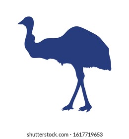 ostrich bird australia animal icon vector illustration design