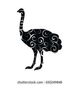 Ostrich bird color silhouette animal