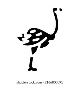 ostrich bird glyph icon vector. ostrich bird sign. isolated contour symbol black illustration