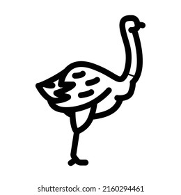 ostrich bird line icon vector. ostrich bird sign. isolated contour symbol black illustration